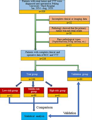 T.H.R.O.B.V.S. Score – A Comprehensive Model to Predict the Surgical Complexity of Renal Cell Carcinoma With Tumor Thrombus